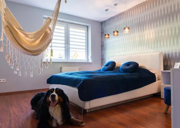 Na Urlop - Sarnia - Przyjazny Zwierzetom * Visla